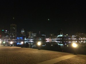 Sitting and listening to the ducks chattering through the night. 