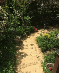 The path is always waiting 