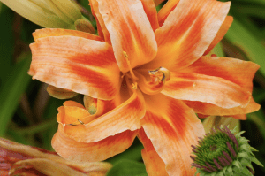 First shot of the day is my fav. 