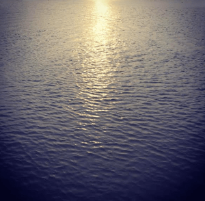 You know your purpose, just sit still for a while and listen.