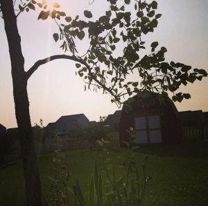 Pretend camping trip with my sister in the garden. 