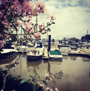 Baltimore City Harbor