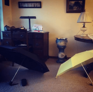 Many after walk in the light drizzle of spring. 