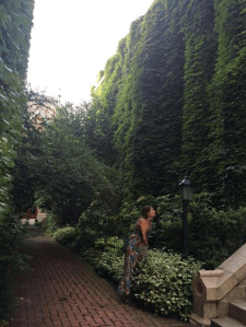 So beautiful hidden in the city. 