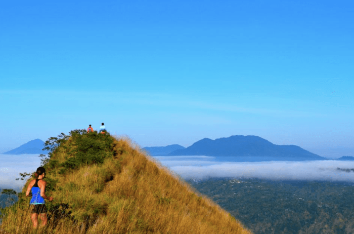 Screen Shot 2015-12-06 at 10.22.22 AM