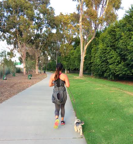 Screen Shot 2016-05-14 at 7.41.03 AM