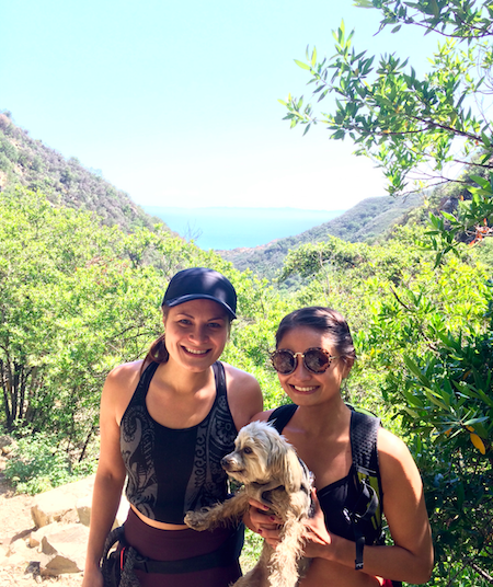 Screen Shot 2016-05-21 at 8.06.30 PM