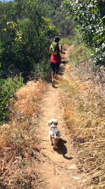 Screen Shot 2016-05-21 at 8.17.09 PM