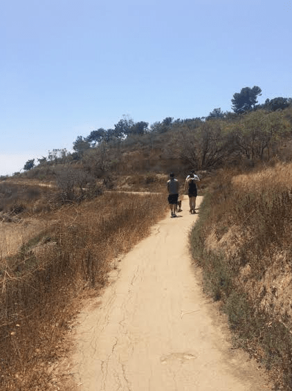 Screen Shot 2016-05-30 at 9.49.23 PM