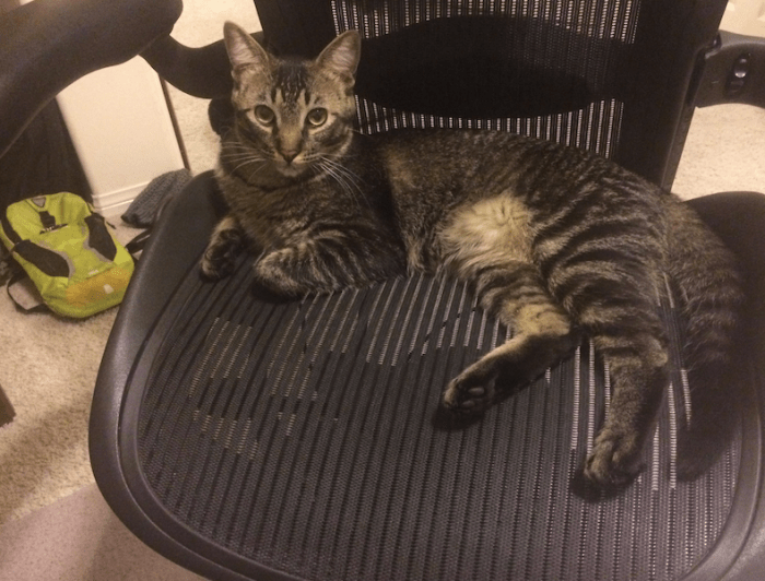 Screen Shot 2016-06-09 at 3.43.38 AM