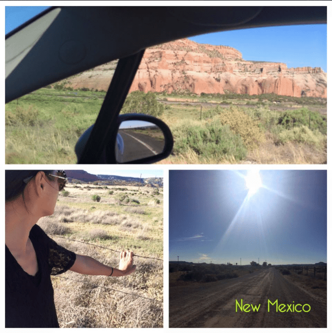 Screen Shot 2016-06-28 at 4.17.38 AM