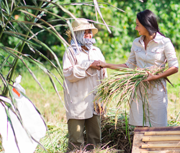 Screen Shot 2019-01-29 at 4.40.34 PM