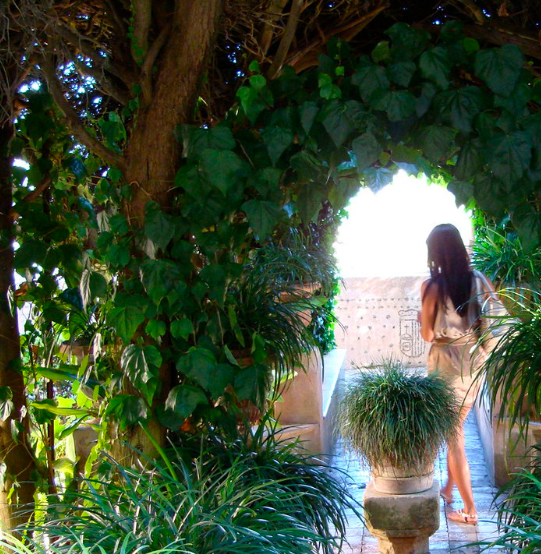 Screen Shot 2020-05-08 at 6.54.50 PM